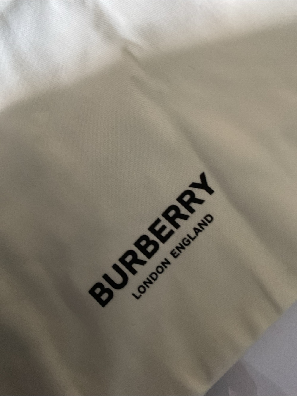 Burberry Pale Yellow Dust Bag Set of 2 - Picture 2 of 3